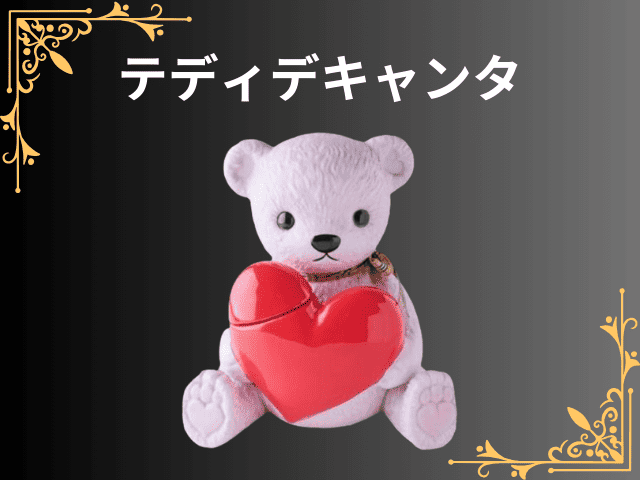 テディキャンタ ボトル